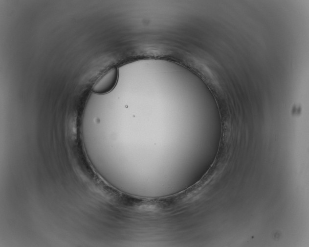 X0000091990358200709271452