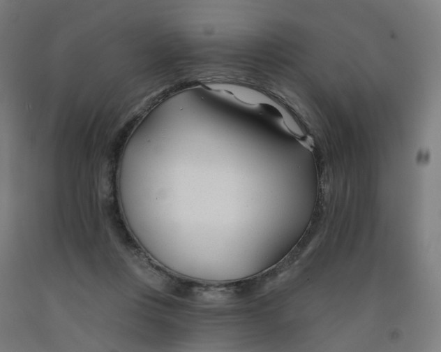 X0000091990359200709271452