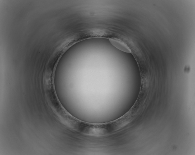 X0000091990360200709271452