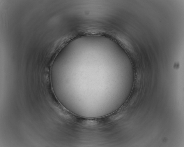 X0000091990361200709271452