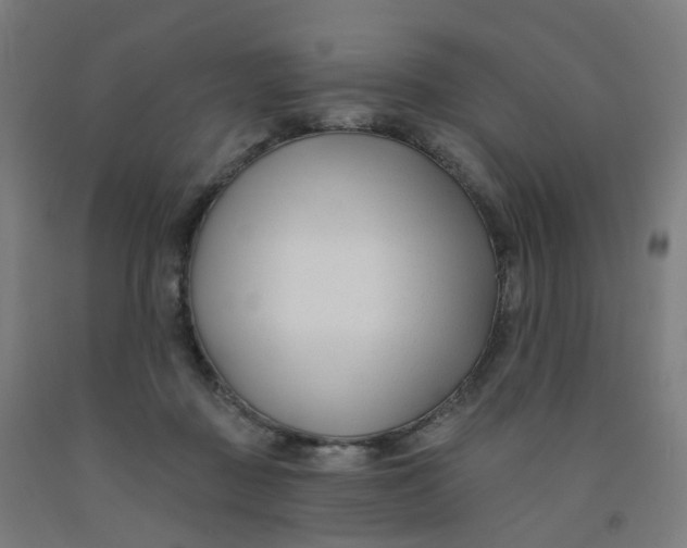 X0000091990363200709271452