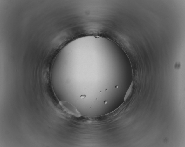 X0000091990364200709271452