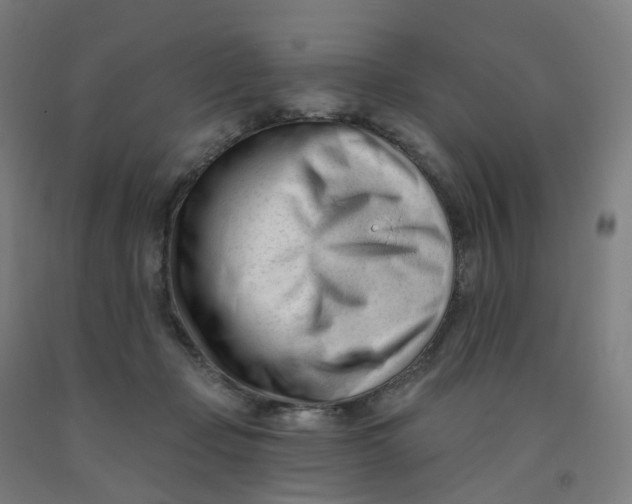 X0000091990365200709271452