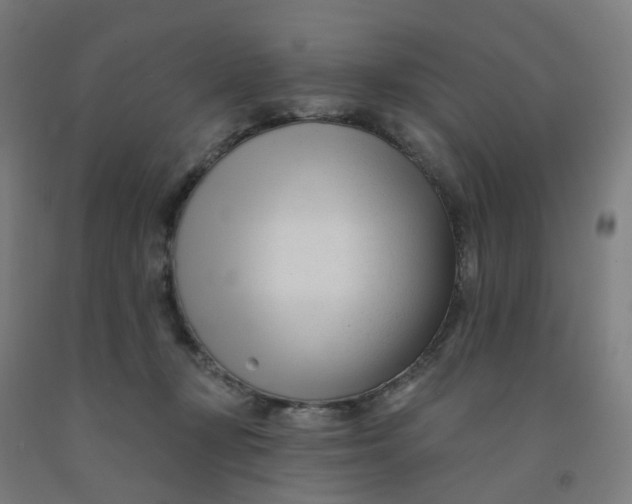 X0000091990367200709271452