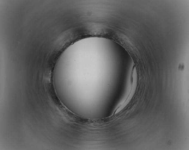 X0000091990368200709271452