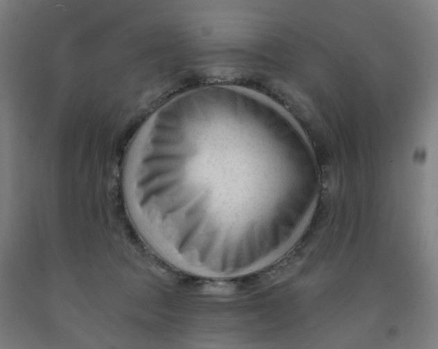 X0000091990369200709271452