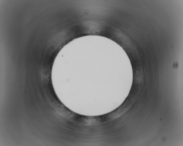 X0000091990370200709271452