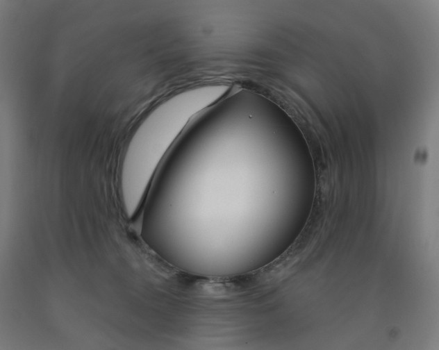 X0000091990372200709271452