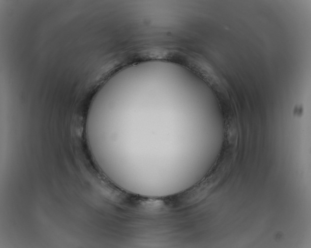 X0000091990374200709271452