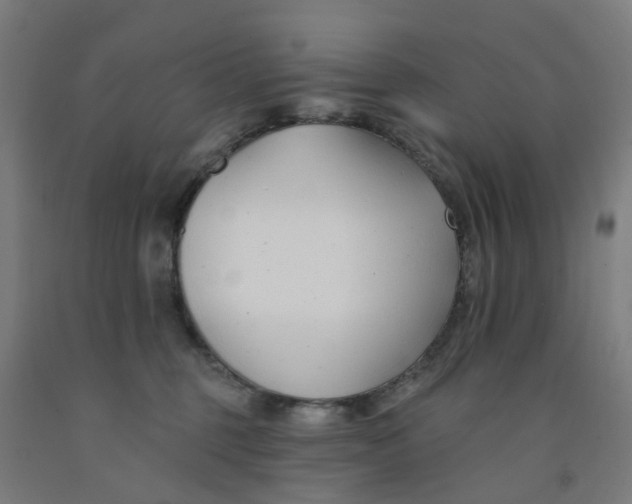 X0000091990375200709271452