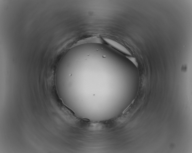 X0000091990376200709271452