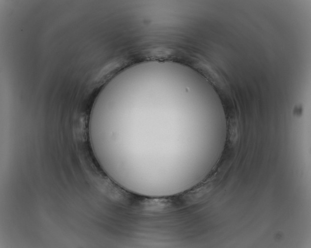 X0000091990378200709271452