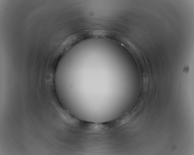 X0000091990379200709271452