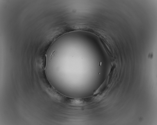 X0000091990380200709271452