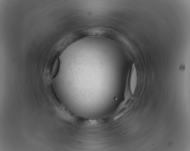 X0000091990381200709271452