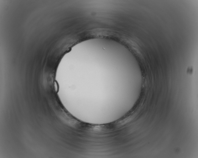 X0000091990382200709271452