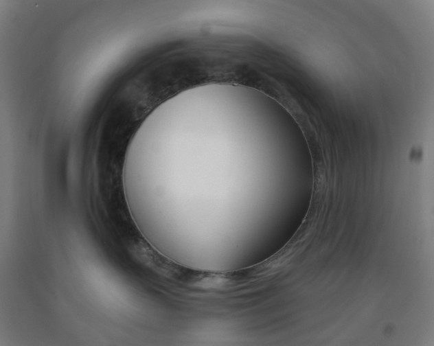 X0000091990383200709271452