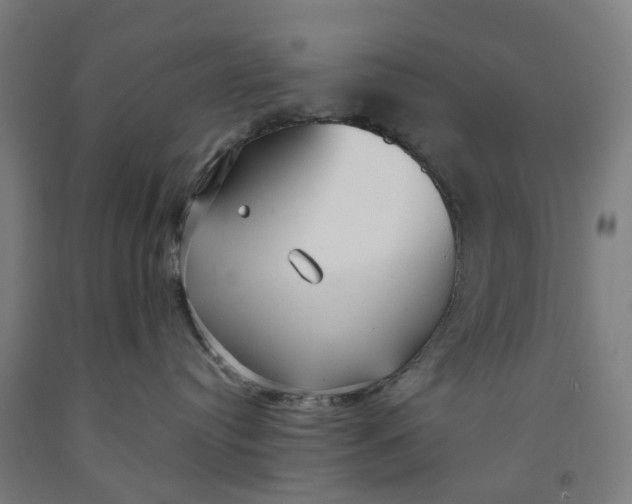 X0000091990384200709271452