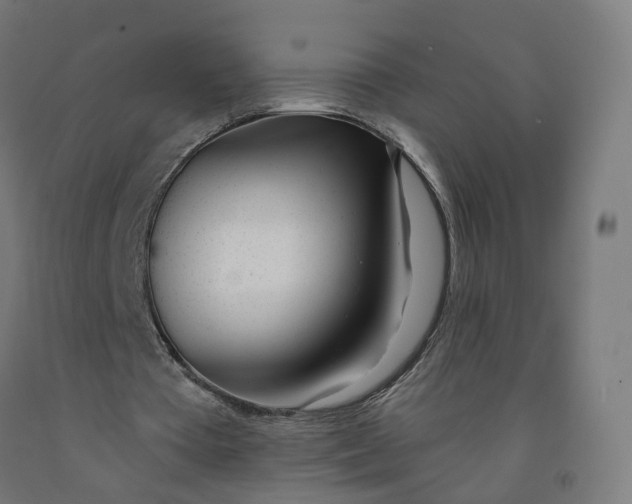 X0000091990385200709271452