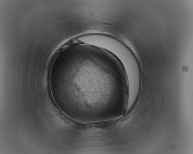 X0000091990387200709271452