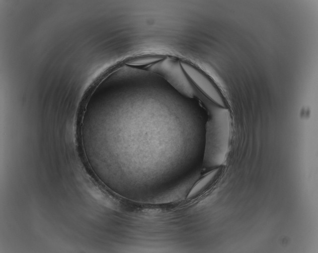 X0000091990391200709271451