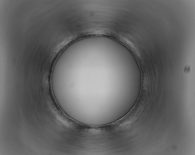 X0000091990394200709271451