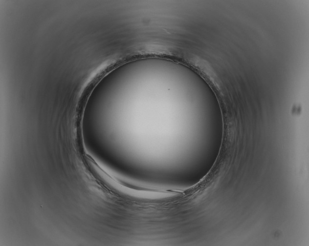 X0000091990395200709271451