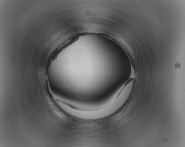 X0000091990397200709271451