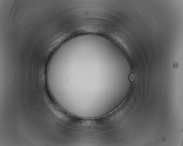 X0000091990398200709271451