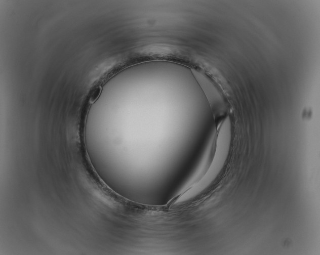 X0000091990399200709271451