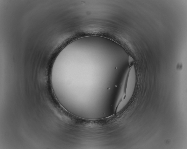 X0000091990400200709271451