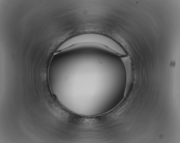 X0000091990401200709271451