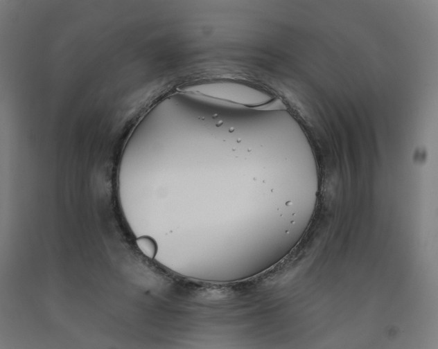 X0000091990402200709271451