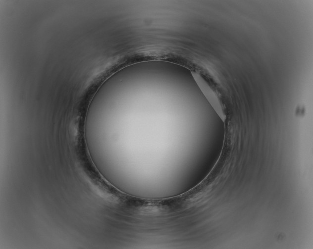 X0000091990404200709271451