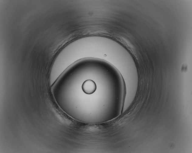 X0000091990405200709271451