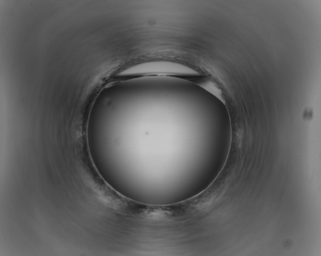 X0000091990407200709271451