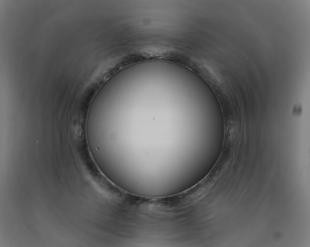 X0000091990408200709271451