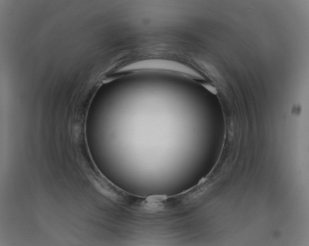 X0000091990409200709271451