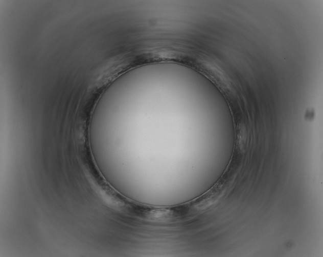 X0000091990410200709271451