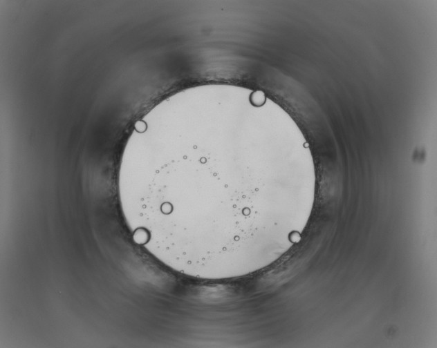 X0000091990411200709271451