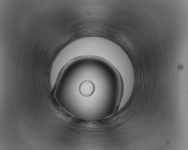 X0000091990412200709271451