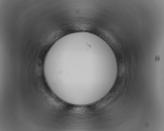 X0000091990414200709271451