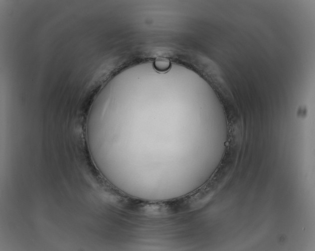 X0000091990415200709271451