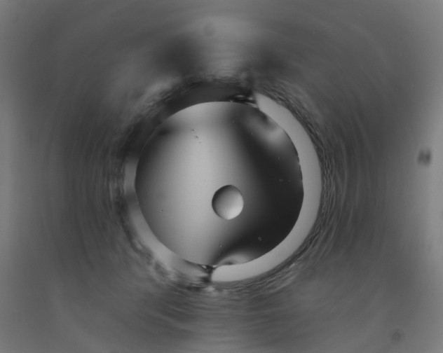 X0000091990416200709271451