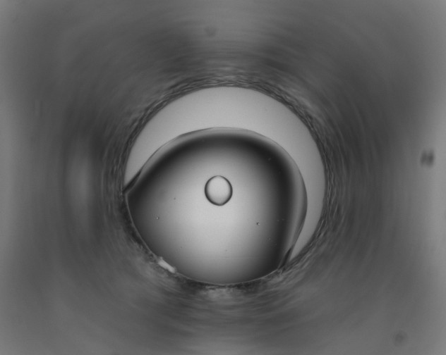 X0000091990417200709271451