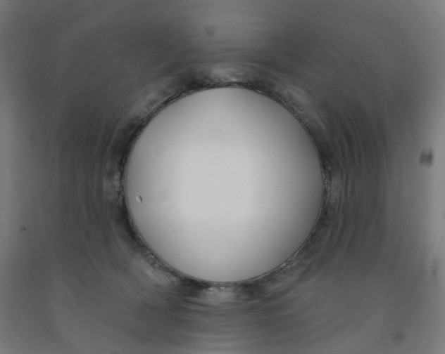 X0000091990418200709271451