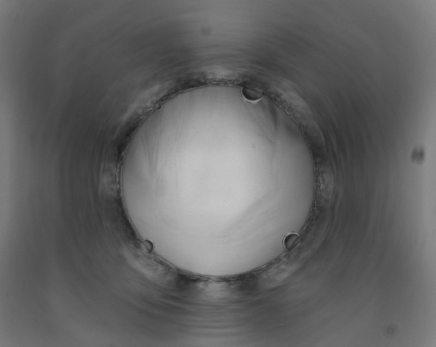 X0000091990419200709271451