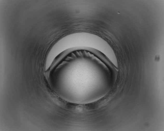 X0000091990420200709271451