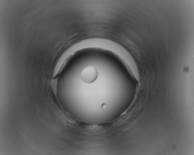 X0000091990421200709271451