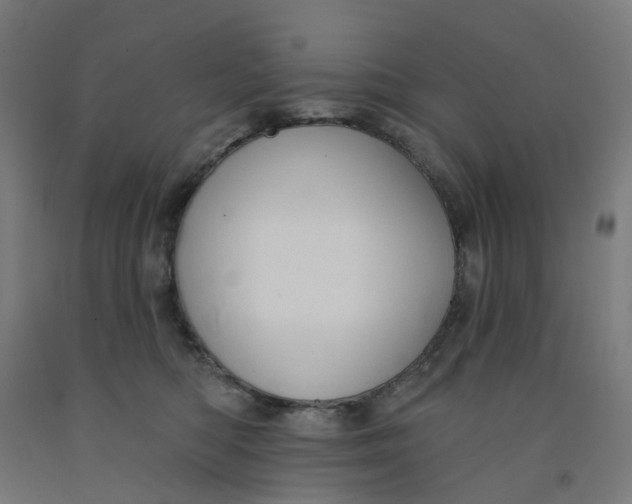 X0000091990422200709271451